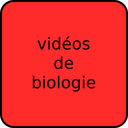 vidéos de biologie