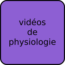 vidéos de physiologie